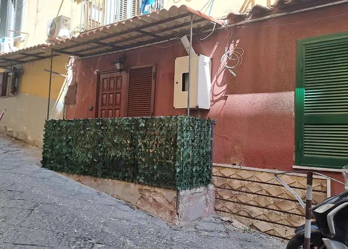 Anny House